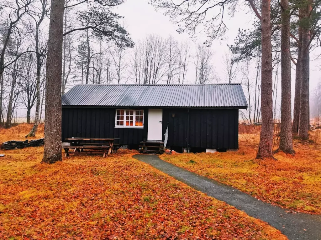 Comment fabriquer un abri de jardin en bois facilement en 2025
