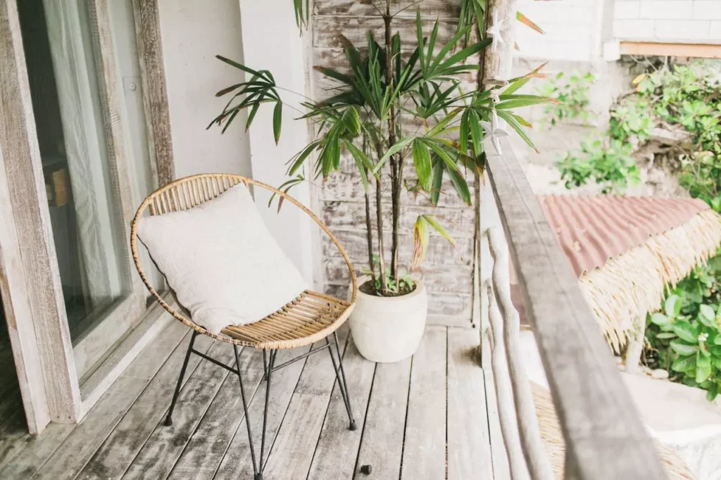 20 Plantes Résistantes à la Sécheresse pour un Jardin Sans Soucis en 2025