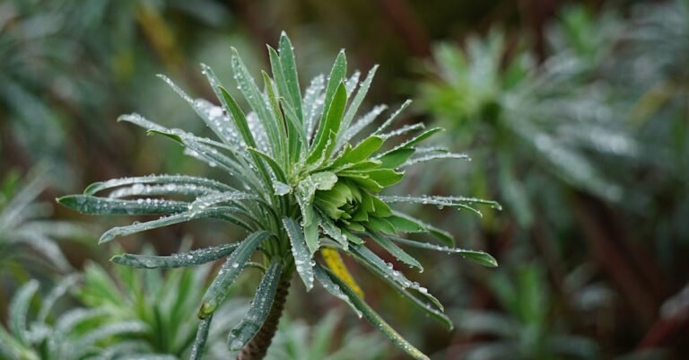 Découvrez notre guide pratique 2025 pour installer un système d’arrosage automatique facilement. Transformez votre jardin en un espace verdoyant et bien entretenu sans effort, grâce à des conseils étape par étape adaptés à tous les niveaux.