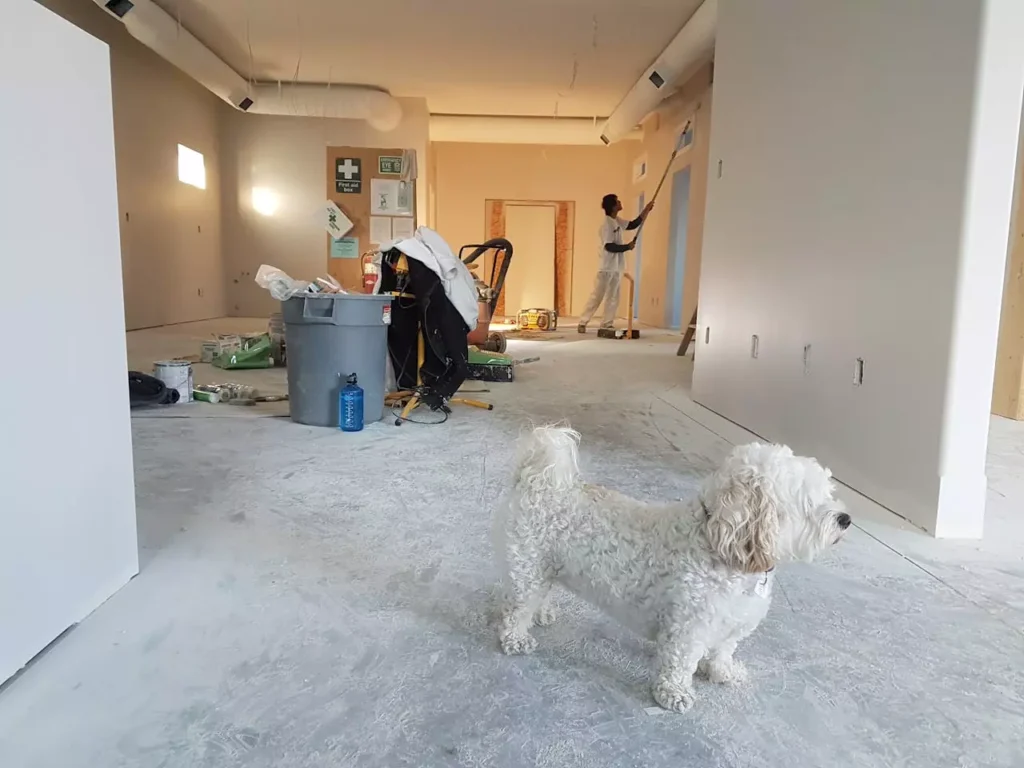 Peinture d'intérieur : astuces et conseils déco