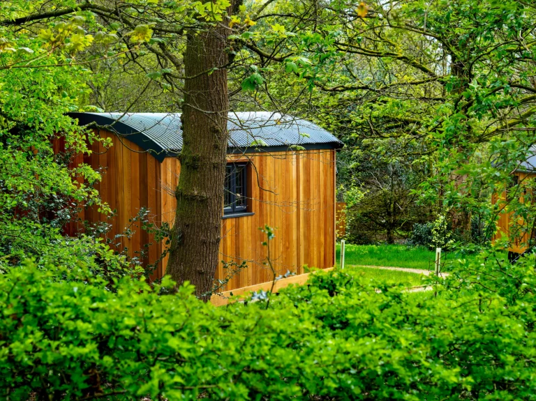 studio de jardin 20 m2