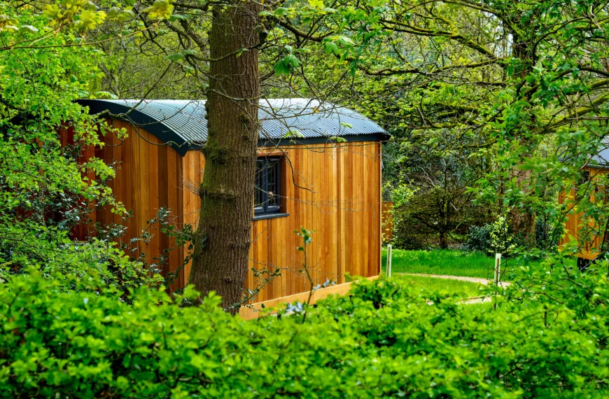 studio de jardin 20 m2