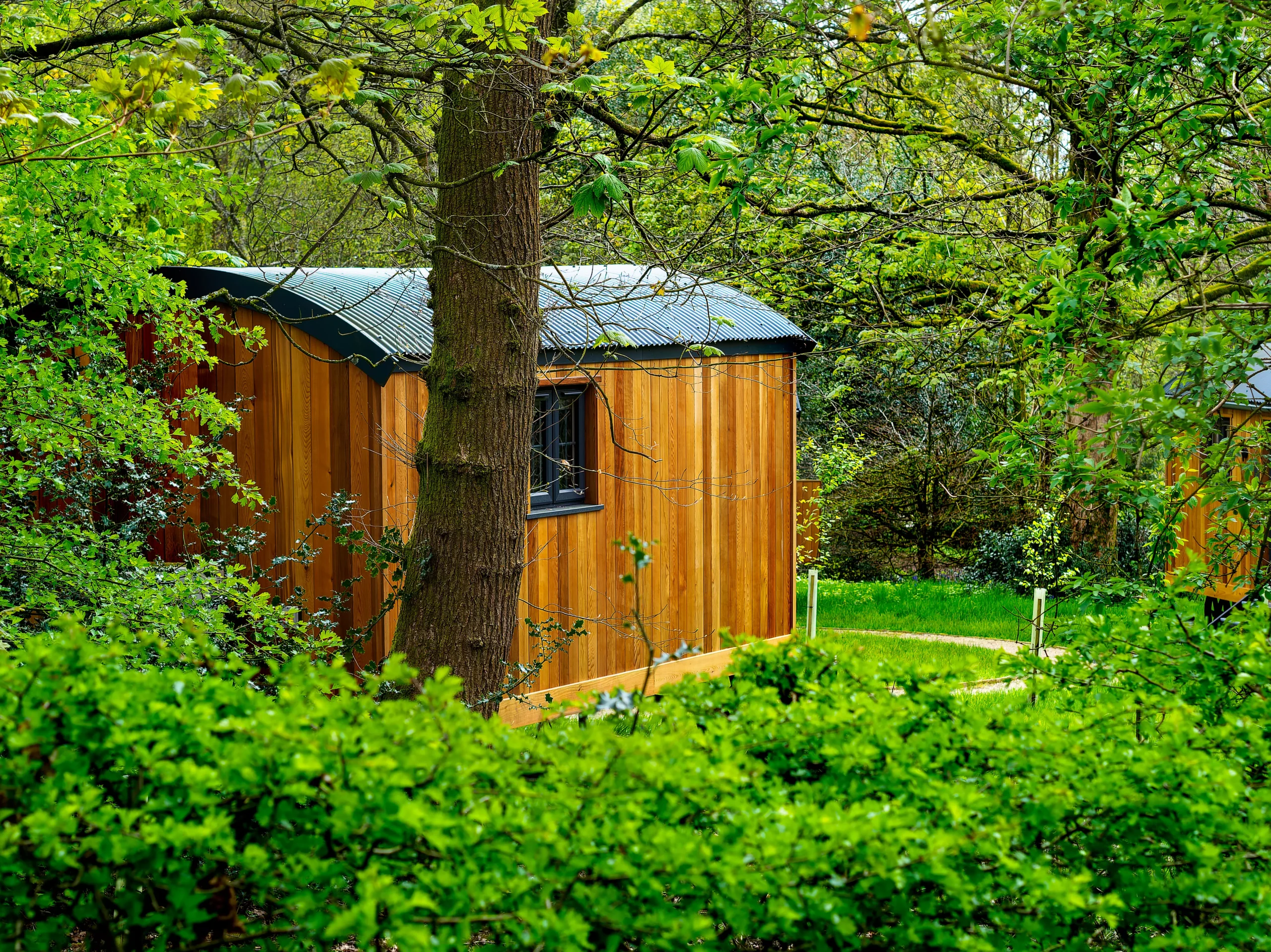 studio de jardin 20 m2