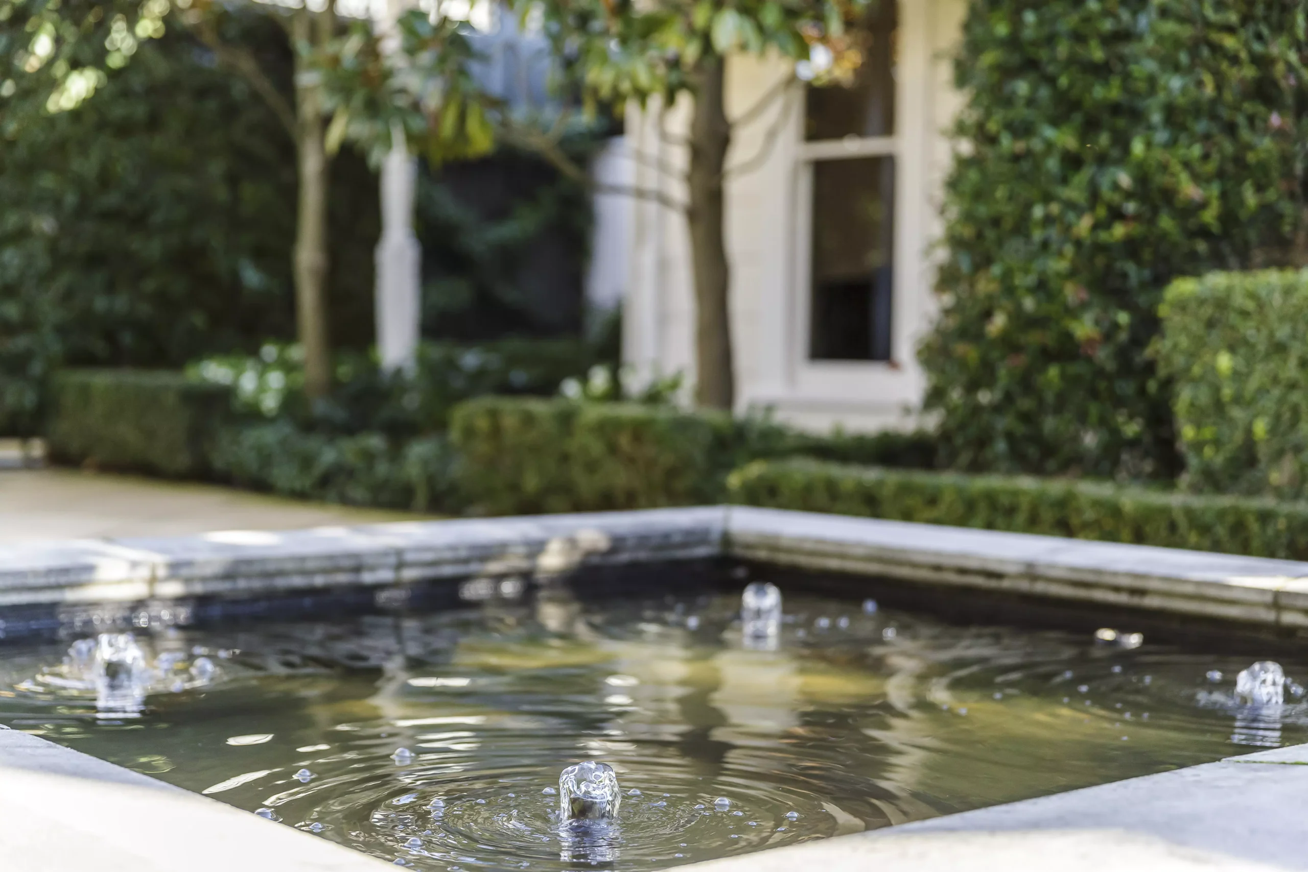 entreprise entretien bassin de jardin​