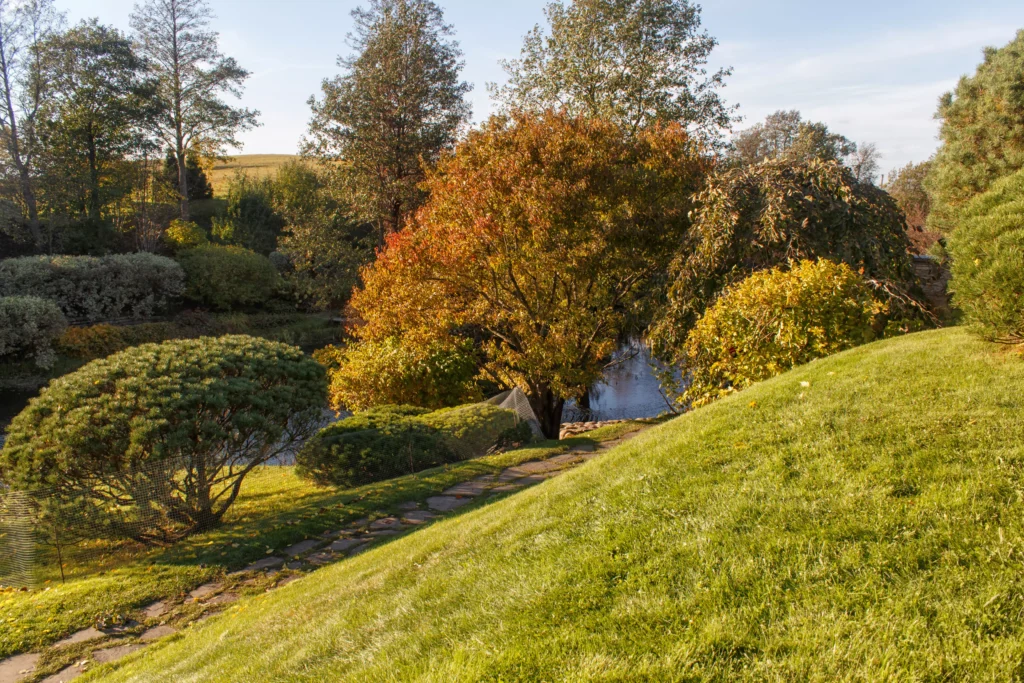 Aménagement jardin en pente