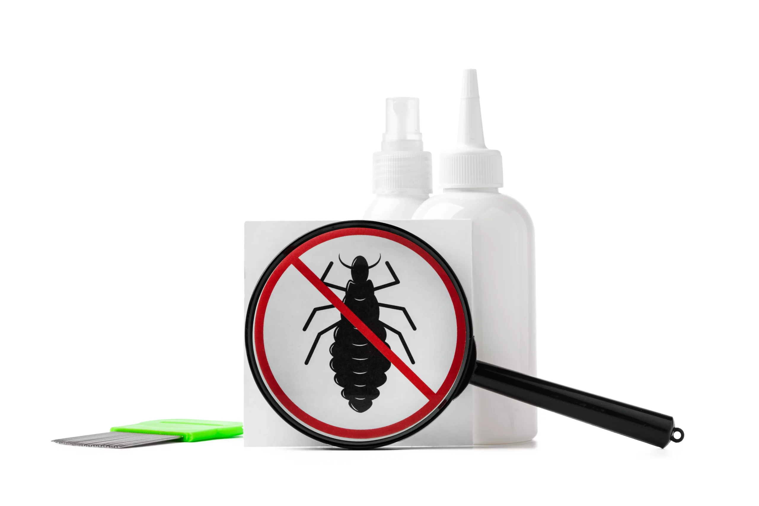 traitement thermique insectes