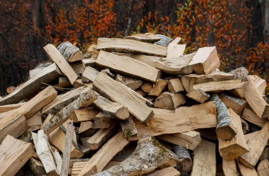nuisibles dans le bois de chauffage