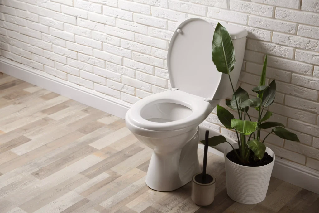 comment nettoyer le fond des toilettes